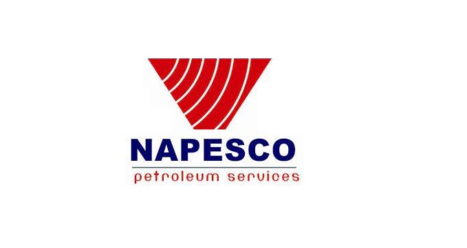 NAPESCO Petroleum Services Co. Ltd.